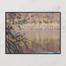 Search for thirty three postcards Red