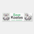 Search for koala bumper stickers Marsupial