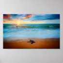Search for wet art Sunset