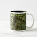 Search for rain forest mugs Olympic national park
