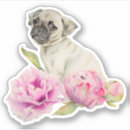 Search for white peony stickers Watercolor