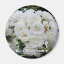 Search for arrow magnets White