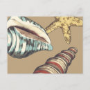 Search for blue shells postcards Seashell
