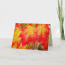 Search for autumn leaf cards Colour