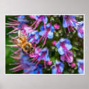 Search for life cycle posters Nature