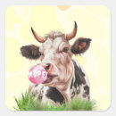 Search for bovine stickers Dairy cow