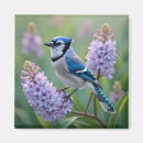Search for jay magnets Purple