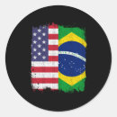 Search for brazil stickers Vintage