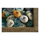 Search for feng shui posters Asian