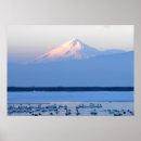 Search for shasta posters Landscape