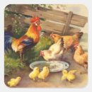 Search for vintage chickens stickers Farm
