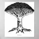 Search for black and white dragon art Illustration