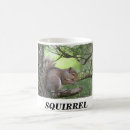 Search for squirrel eating mugs Tree