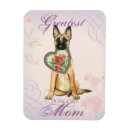 Search for malinois magnets Dog