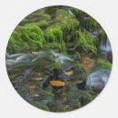 Search for benton stickers Ie