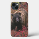 Search for ursus arctos electronics North america