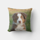 Search for australian shepherd cushions Pets