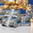 Search for pit gift wrap Puppy