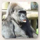 Search for primates coasters Funny