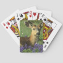 Search for deer playing cards Nature