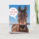 Search for funny horse birthday cards Over the hill