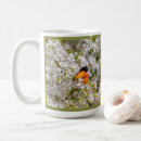 Search for oriole mugs Nature