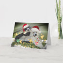 Search for poodle christmas cards Santa