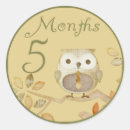 Search for owl family stickers Autumn