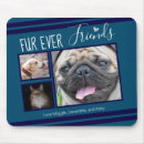 Search for makes friends with the mousepads Pets