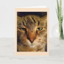 Search for missing you mom postcards Cute