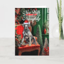 Search for great dane christmas cards Pets