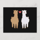 Search for alpaca postcards Camel