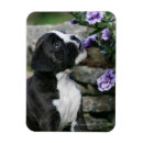 Search for panting magnets Dog