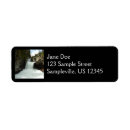 Search for glacier return address labels Nature