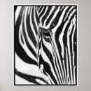Search for grevy Stripes