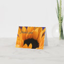 Search for close ups cards Gratitude