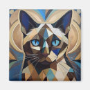 Search for siamese magnets Illustration