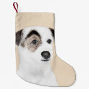 Search for jack russell christmas stockings Terrier