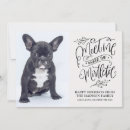 Search for cute puppy christmas cards Script