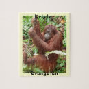 Search for orangutan puzzles Borneo