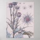 Search for thistle posters Flowers