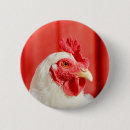 Search for barn animals accessories Homestead