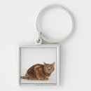 Search for orange cat key rings Animal