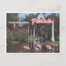 Search for vintage flamingo postcards Florida