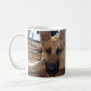 Search for alsatian mugs Dog