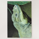 Search for rhinoceros puzzles Wildlife