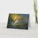 Search for poems by emily dickinson Soul