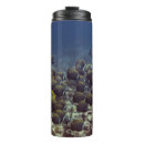 Search for coral reef fish mugs Colourful