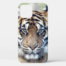 Search for tiger pictures iphone cases Photography