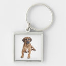 Search for rhodesian ridgeback dog key rings Puppy